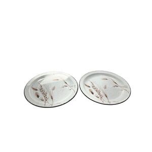 Stonehenge Midwinter Wild Oats 10 1/2" Dinner Plates Set of 2 Some Wear